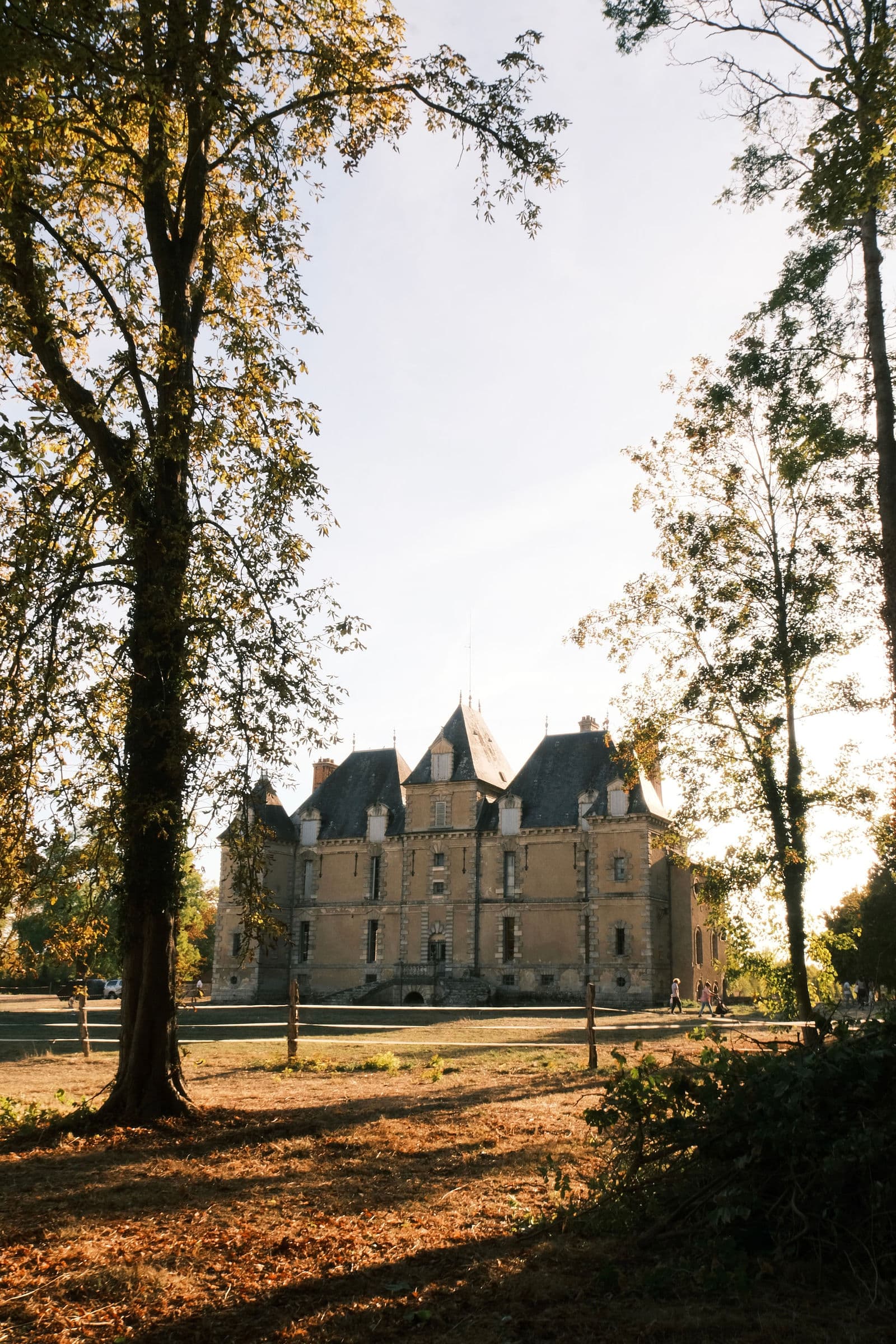 Château de Motteux aperçu entre les grands arbres du parc, tapis de feuilles mortes au premier plan